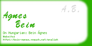 agnes bein business card